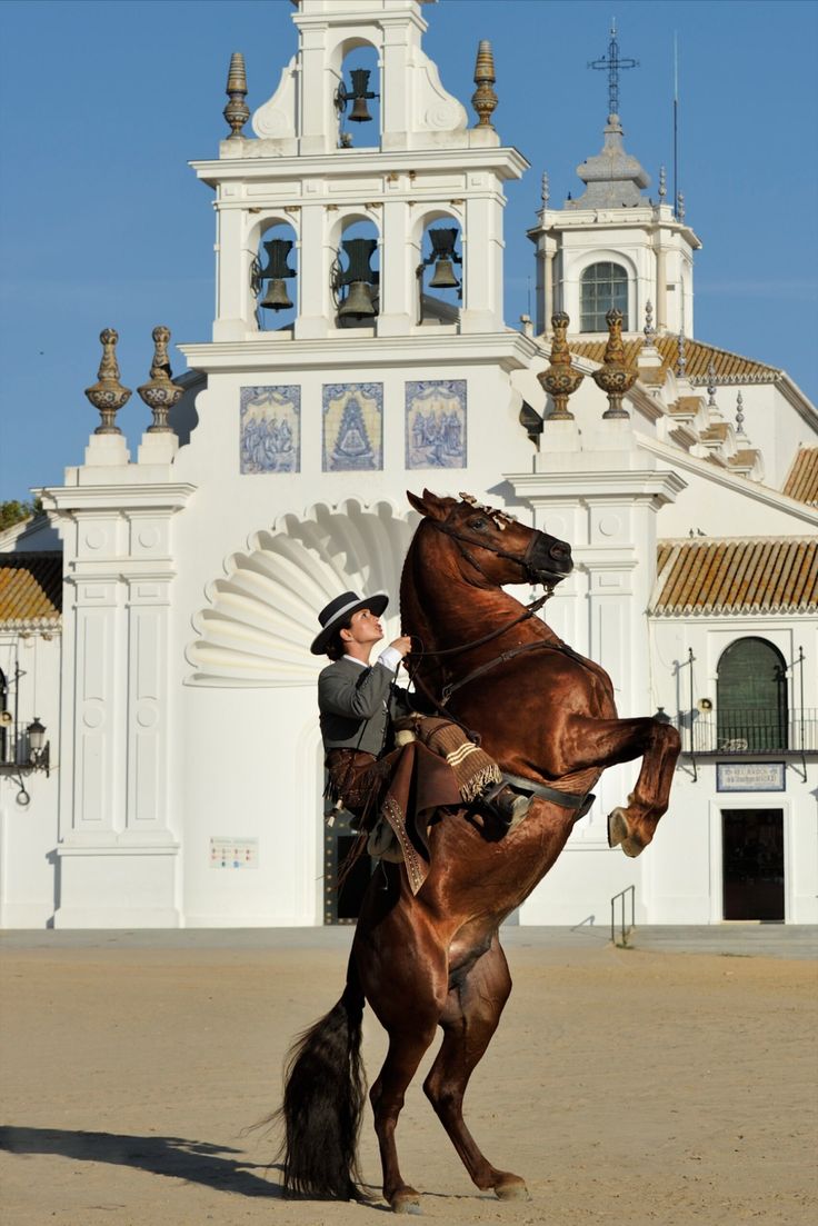 Andalusian estate