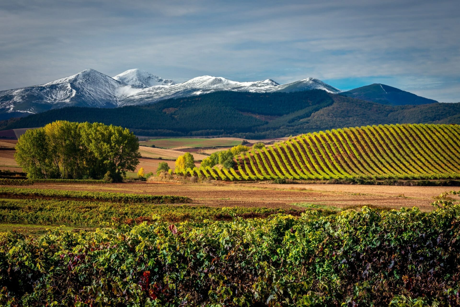 La Rioja