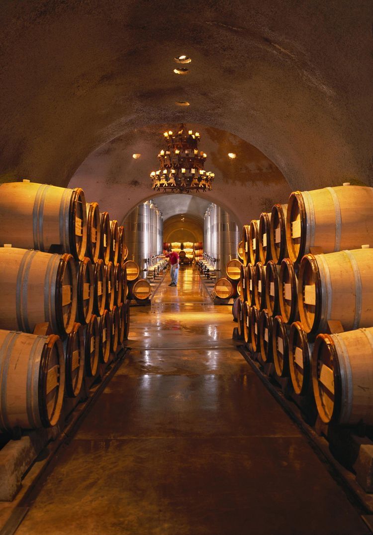 Cellar