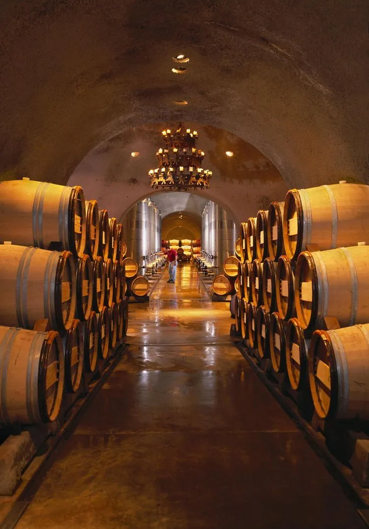 Wine cellar